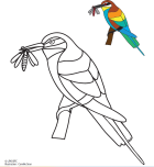 coloriage